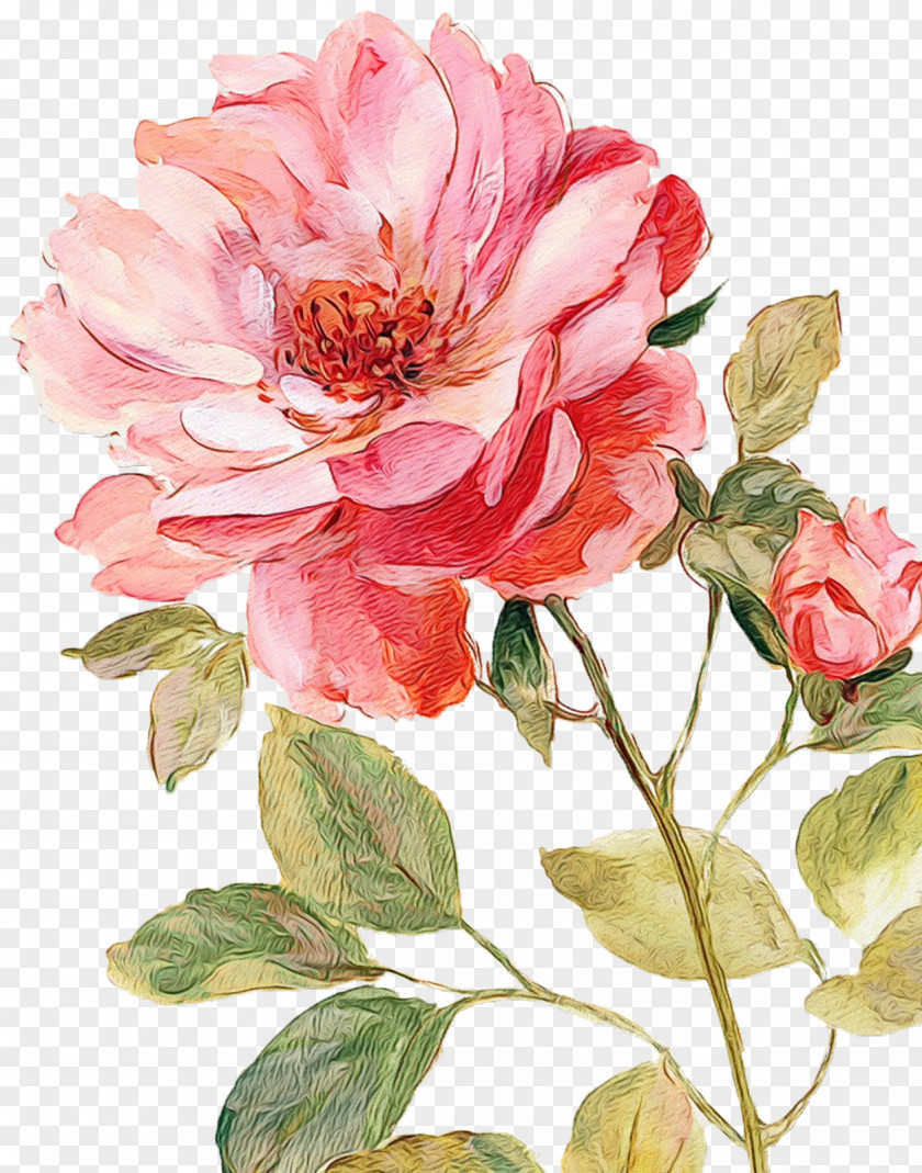 Canvas Art Flower Painting Rose PNG