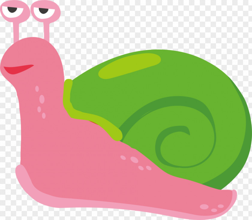 Green Snail Shell Orthogastropoda Cartoon Clip Art PNG