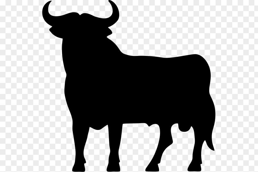 Wine Spanish Fighting Bull Spain Osborne Group PNG