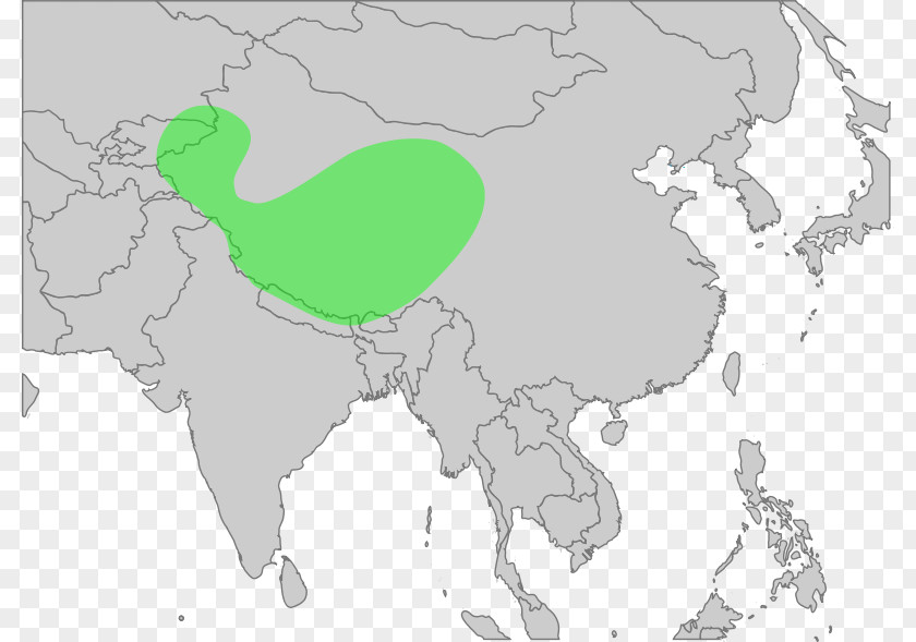 World Map United States Asia PNG