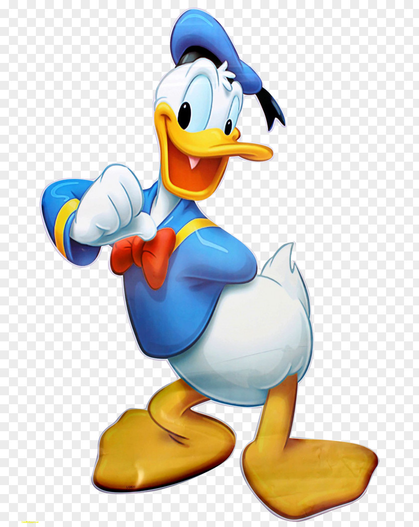 Duckling Donald Duck Daisy Minnie Mouse Clip Art PNG