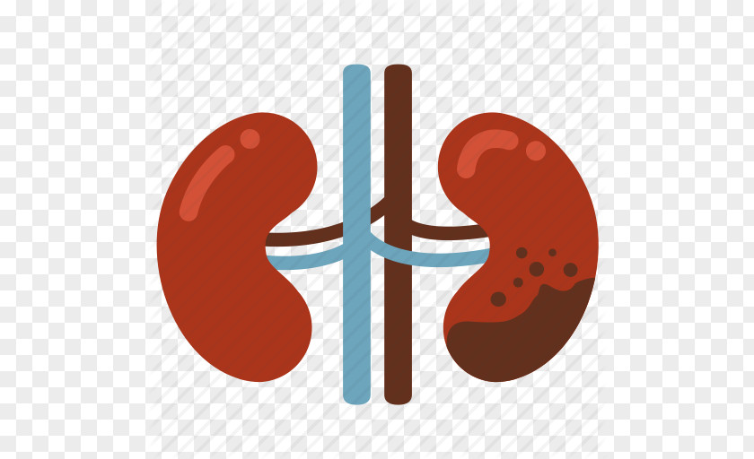 Kidney Disease Cliparts Failure PNG