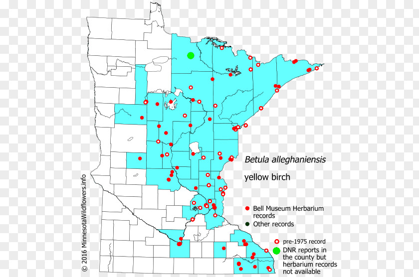 Line Point Land Lot Angle Map PNG