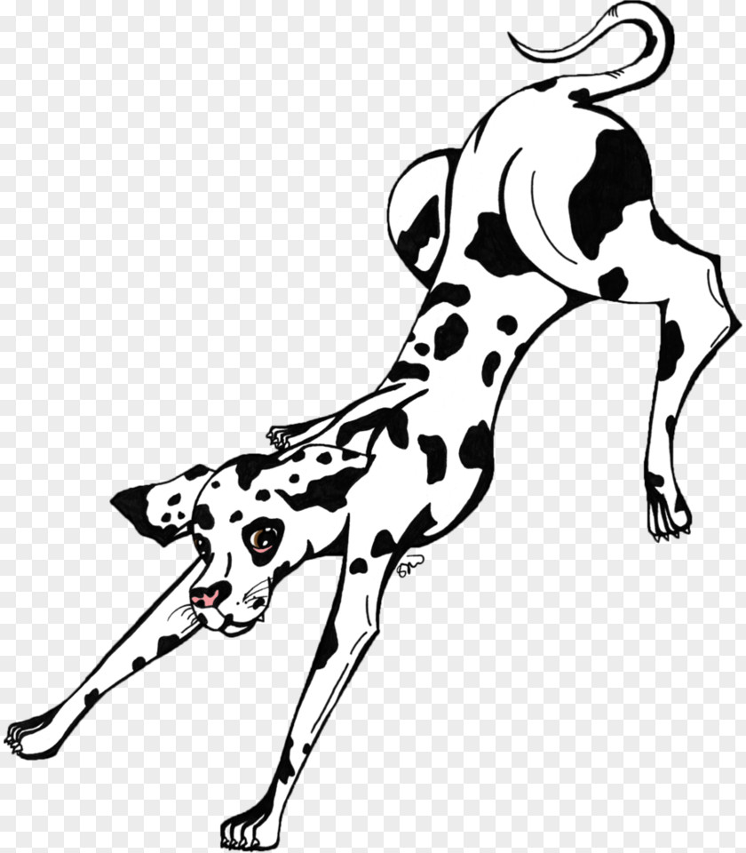 Puppy Dalmatian Dog Breed Great Dane Non-sporting Group PNG