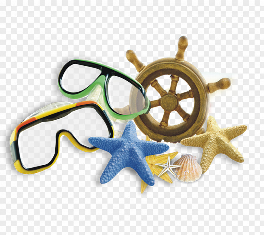 Starfish Goggles Combination PNG