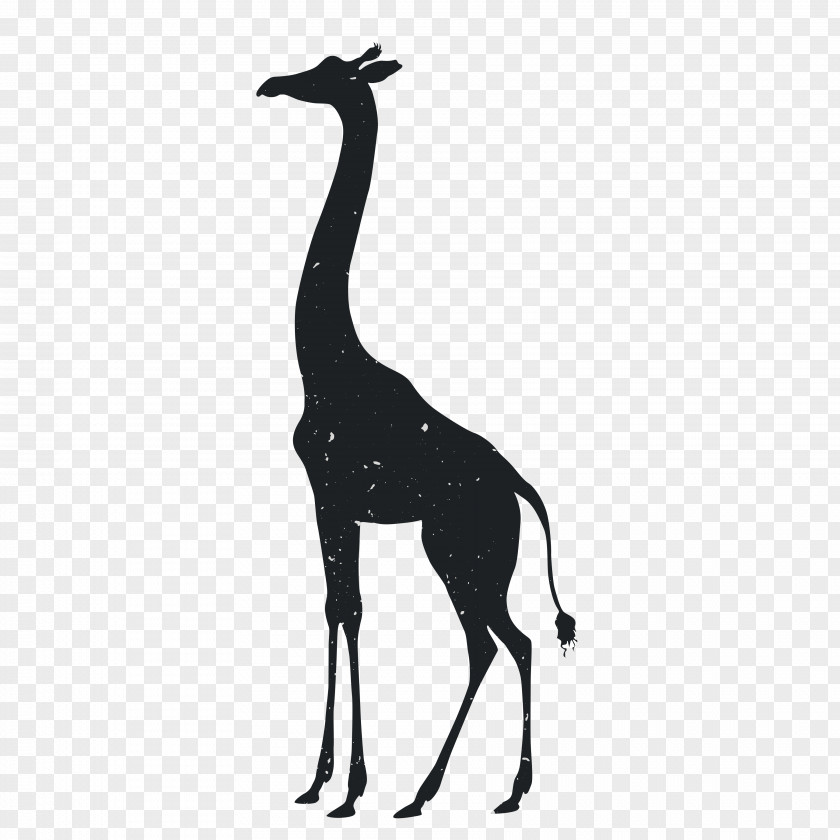 Animal Silhouettes Giraffe Tiger Silhouette Drawing PNG