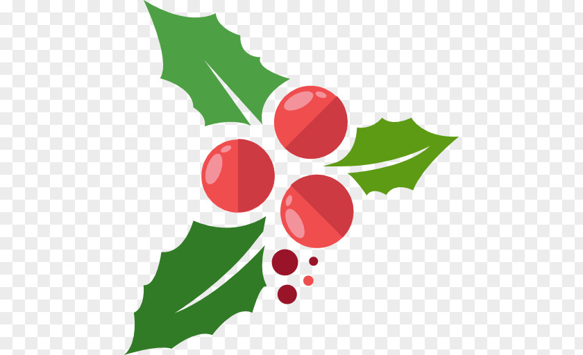 Mistletoe Christmas Flat Design Viscum Album PNG