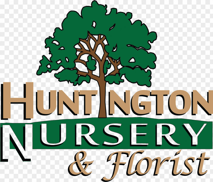 Tree Huntington Nursery & Florists Floristry Garden PNG
