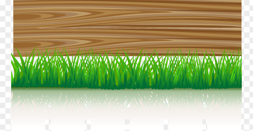 Abstract Wood Grass Download PNG