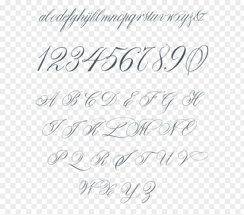 Calligraphy Alphabet Font Italic Type Cursive Typeface PNG