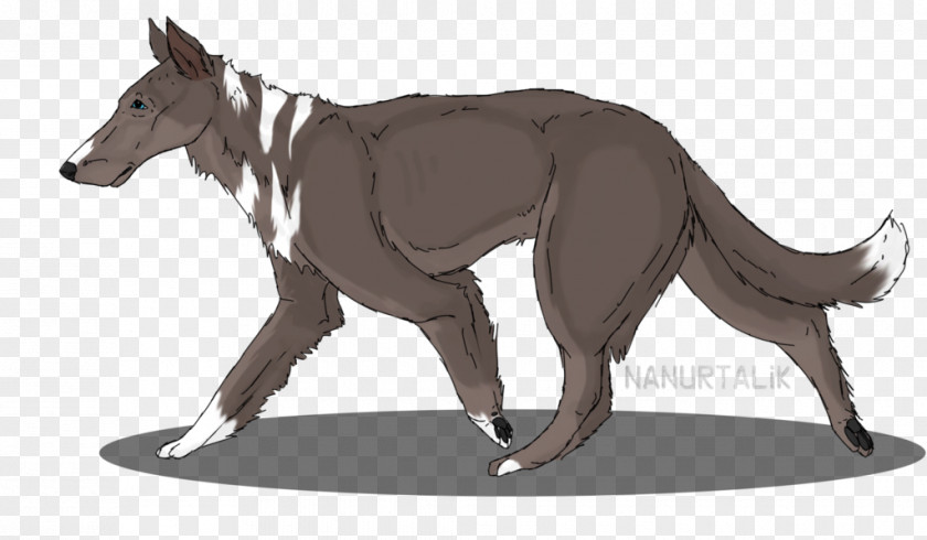 Dog Horse Macropodidae Pack Animal Character PNG