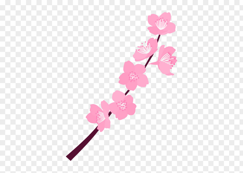 Floral Design Cut Flowers Cherry Blossom ST.AU.150 MIN.V.UNC.NR AD PNG