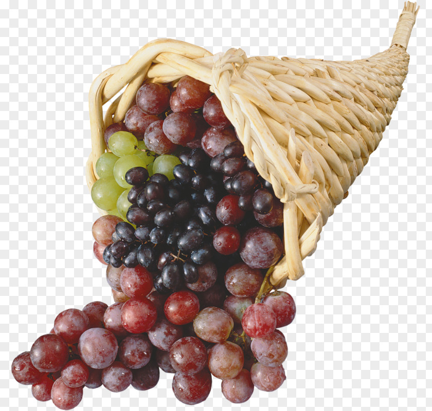 Grape Seed Extract Wine Fruit Kyoho PNG