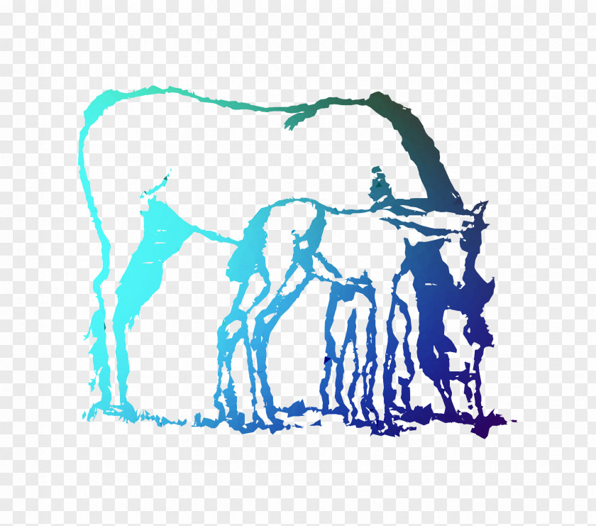 Horse Mare Foal Illustration Drawing PNG