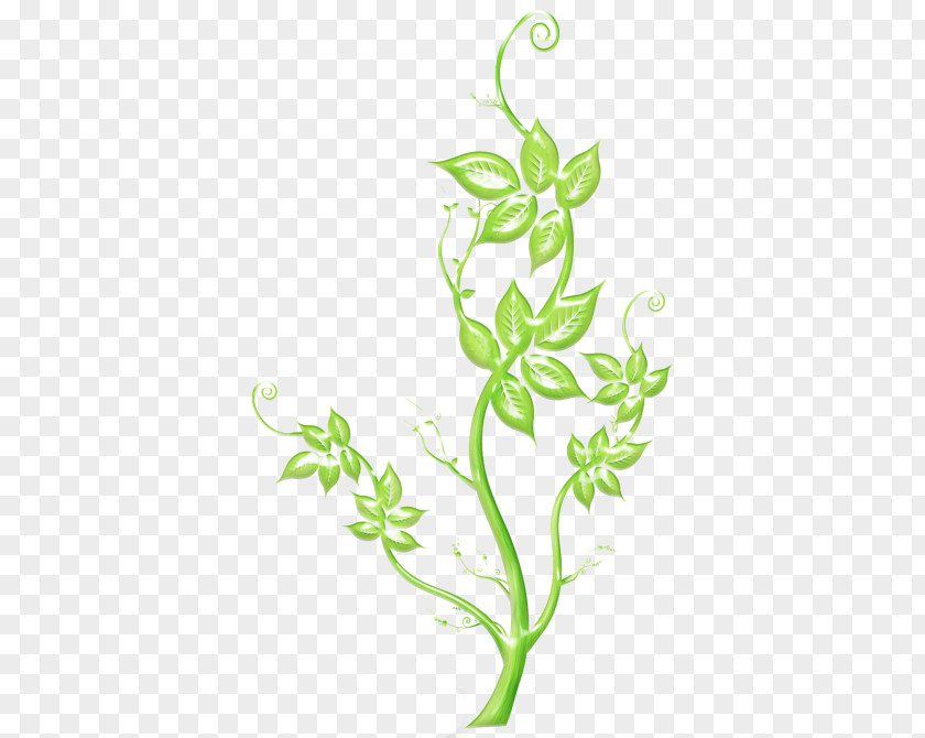 Lacy Clip Art Flower Illustration Vector Graphics PNG