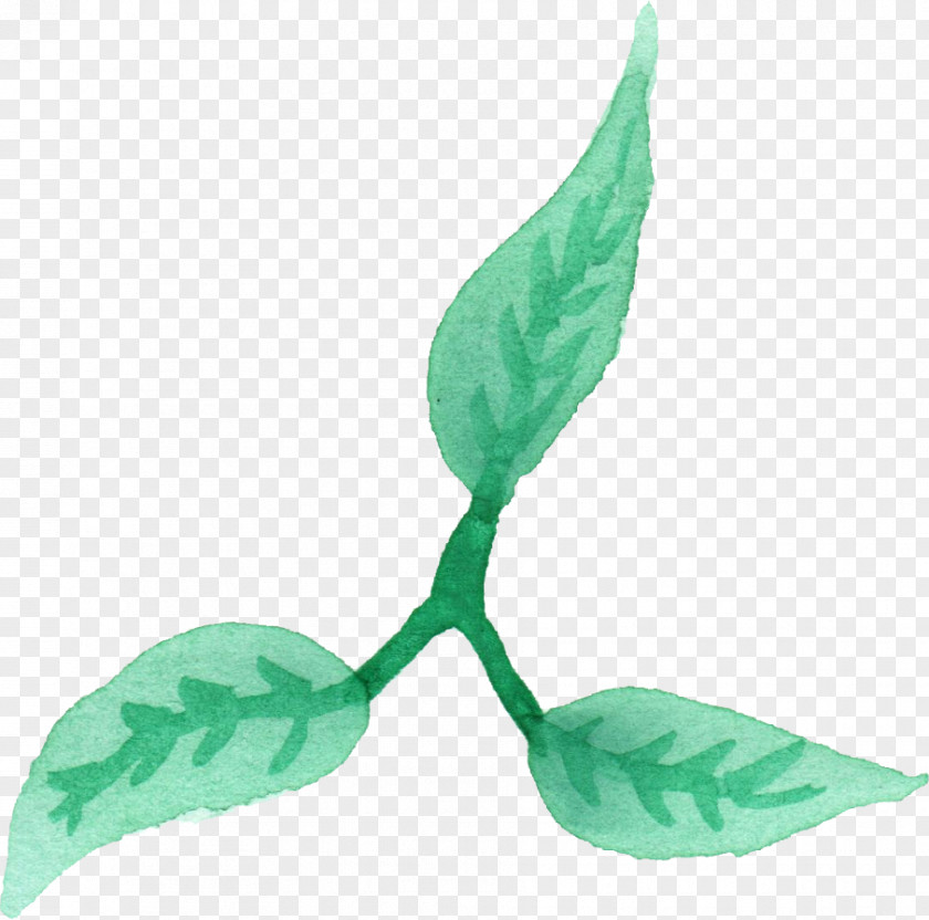 Watercolor Leaves Leaf Painting Plant Stem PNG