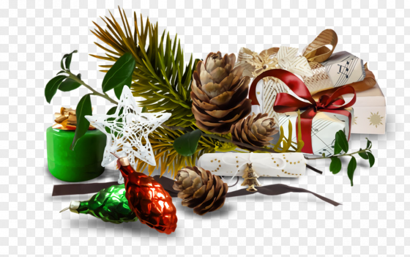 Conifer Cone Plant Christmas Ornaments Decoration PNG