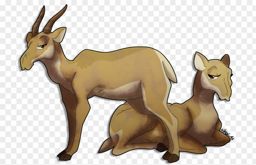 Deer Saiga Antelope Drawing Reindeer PNG