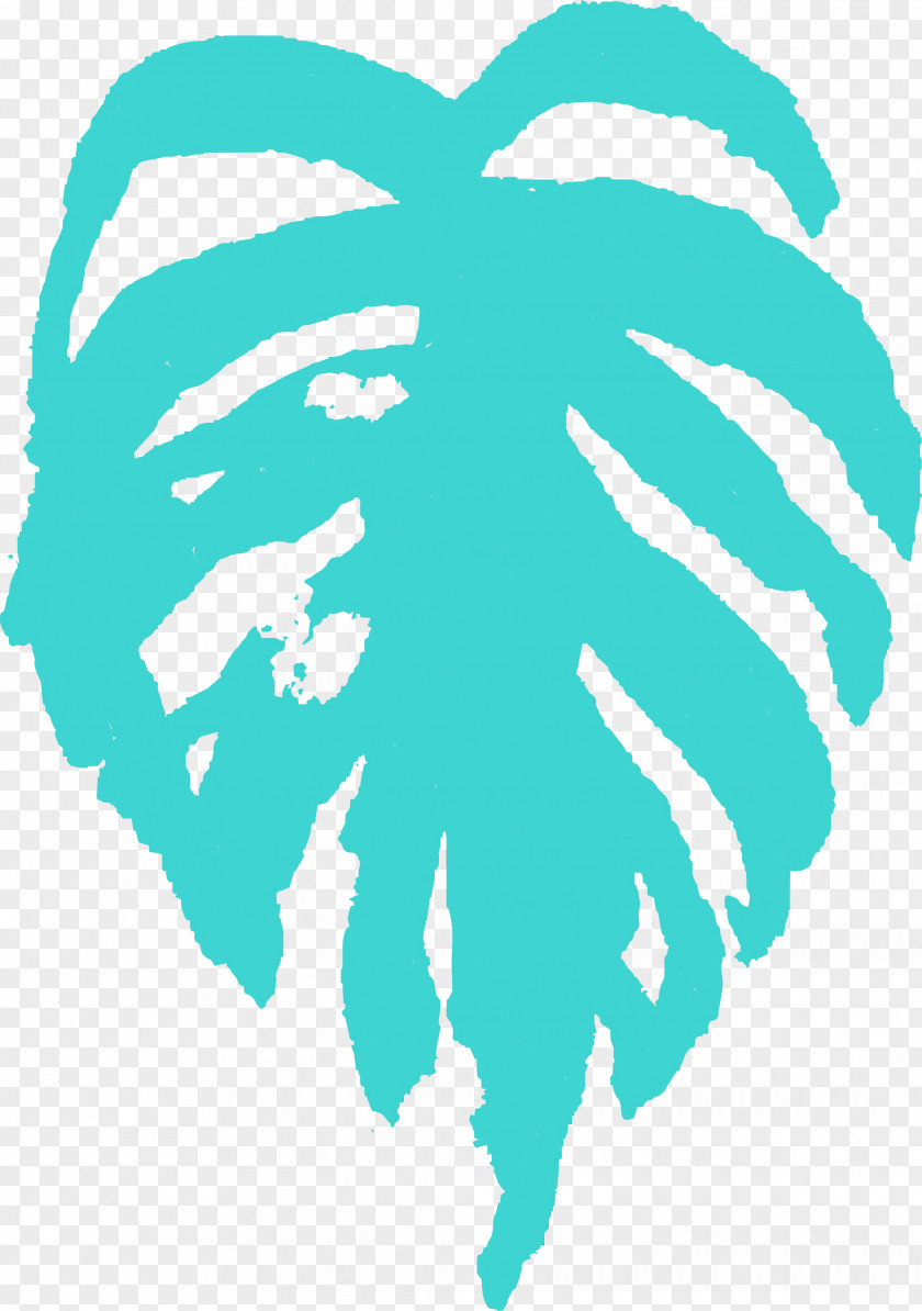 Turquoise Aqua PNG