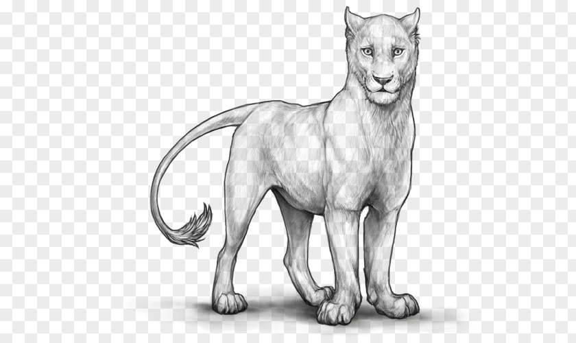 White Clouds Around Cat Lion Line Art Drawing Mammal PNG