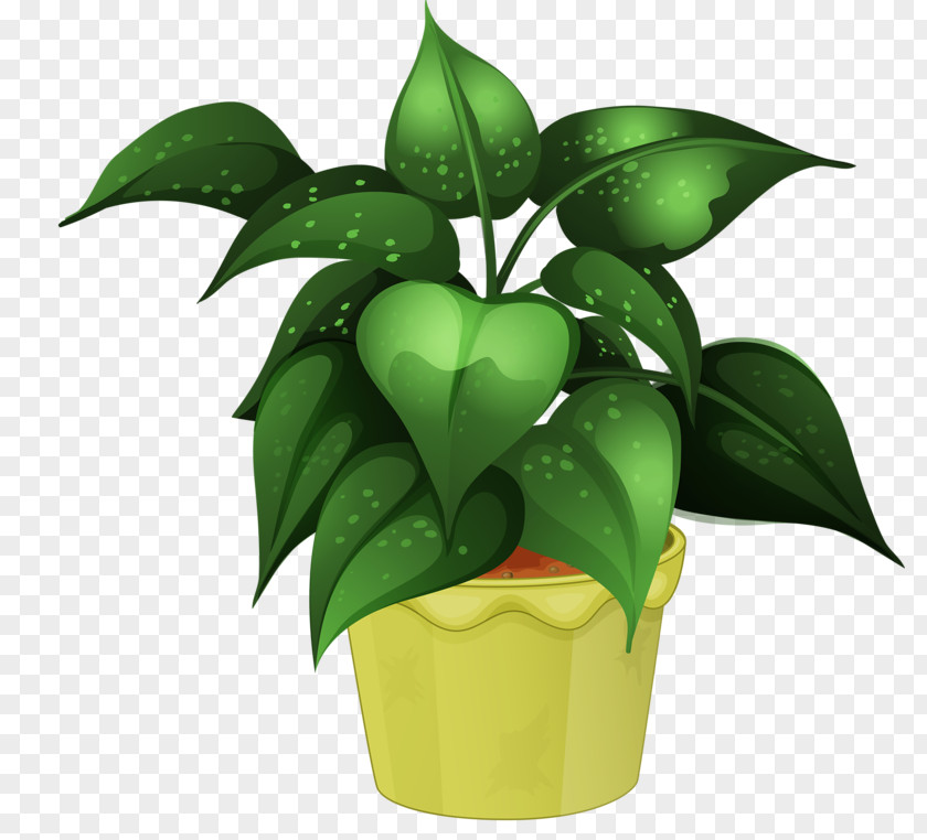Flower Pot Houseplant Cultivo PNG