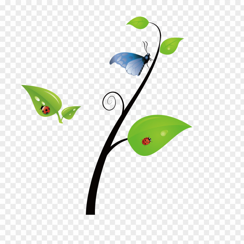 Vector Spring Green Leaves Butterfly Seven Star Ladybugs PNG