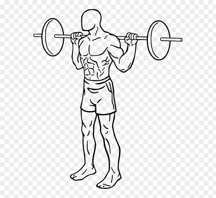 Barbell Squat Physical Exercise Deadlift Weight Training PNG