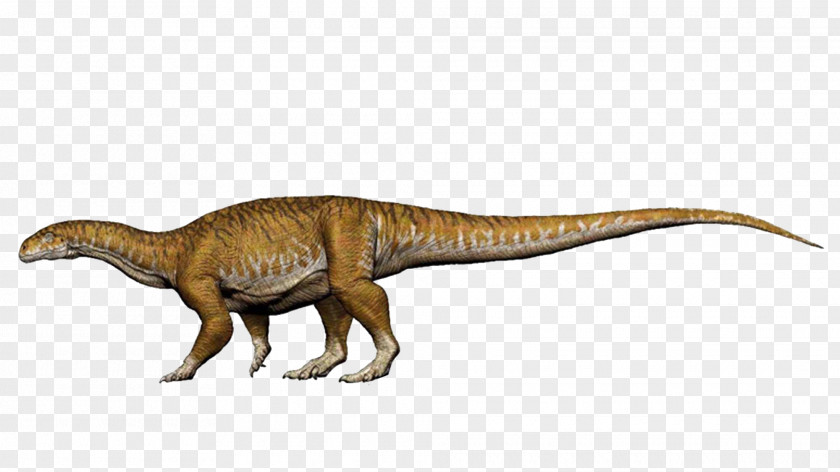 Dinosaur Sauropodomorpha Apatosaurus Ingentia Diplodocus PNG