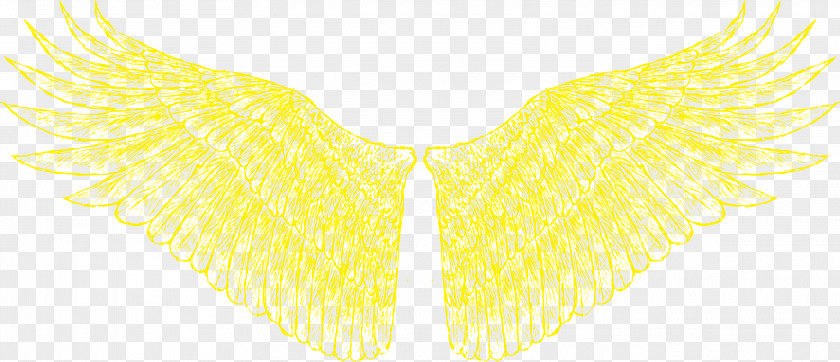 Golden Wings Yellow Neck Pattern PNG
