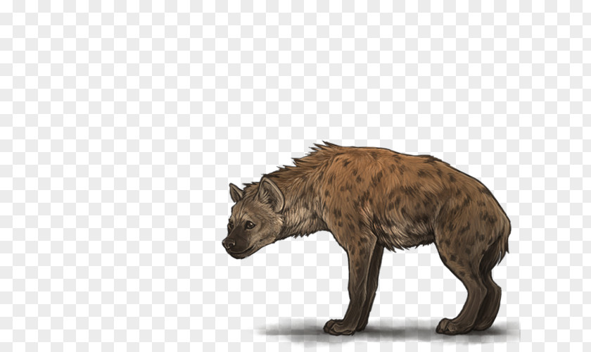 Hyena Lion Spotted PNG
