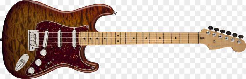 Tiger Woods Fender Stratocaster Squier Musical Instruments Corporation Fingerboard Guitar PNG