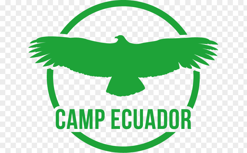 Camp Amazon Rainforest Camps International Ecuador Volunteering Fundraising PNG