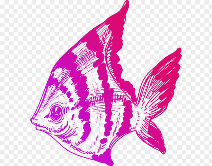 Color Painted Ocean Fish Drawing Line Art Illustration PNG