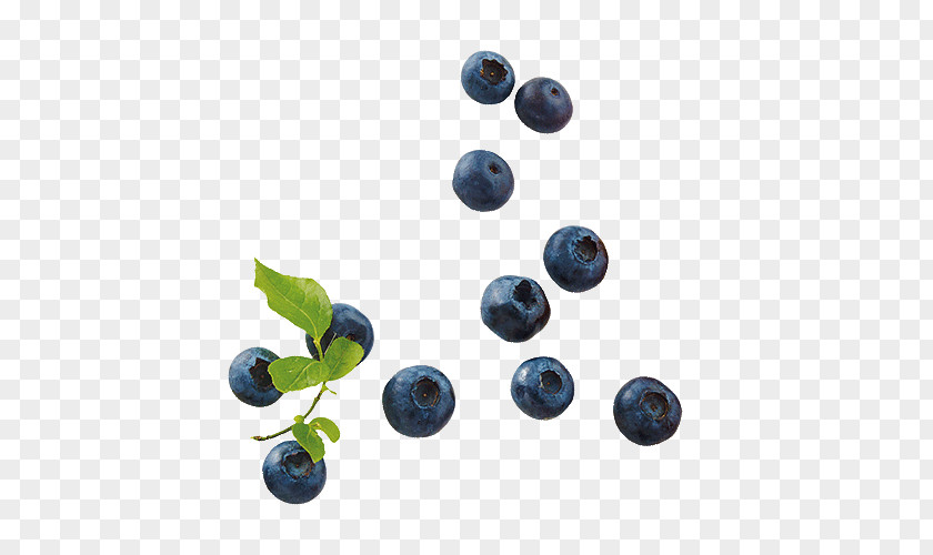 German Breakfast Fruit Blueberry Bilberry Huckleberry Juniper Berry Superfood PNG