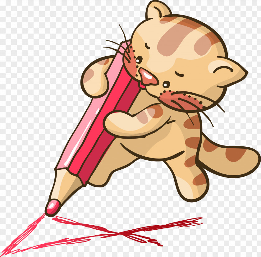 Kitten Turkish Angora Pencil Cartoon PNG