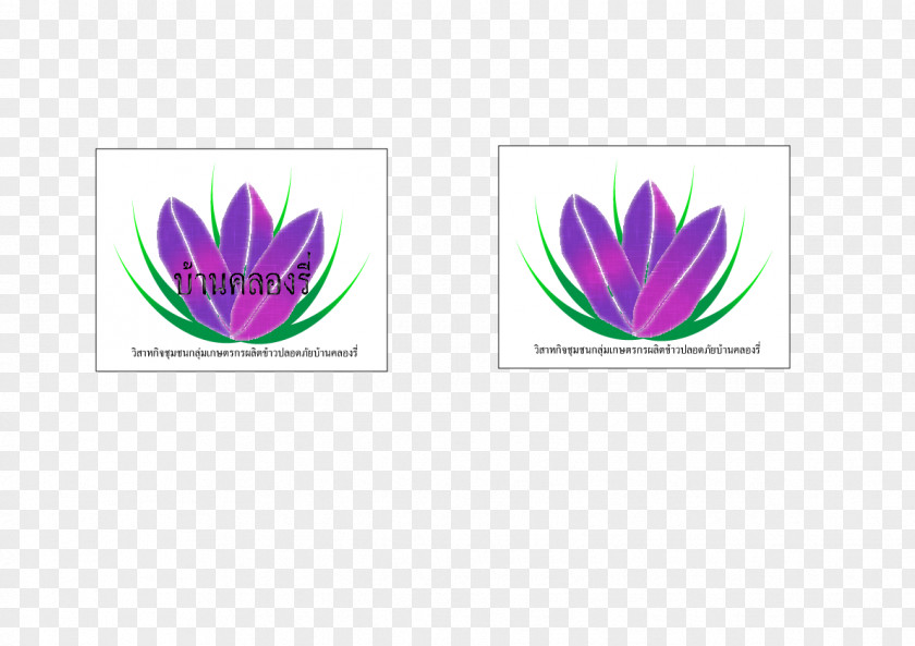 Leaf Petal Flowering Plant Font PNG