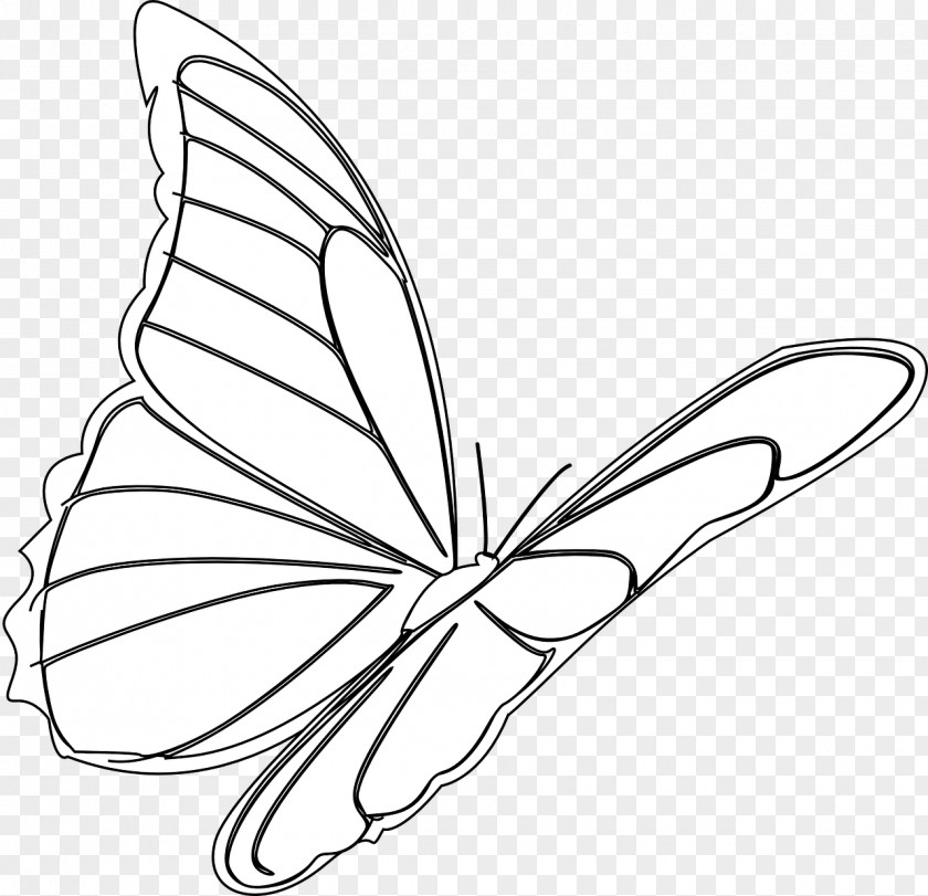 Red Butterfly Monarch Drawing Insect Clip Art PNG