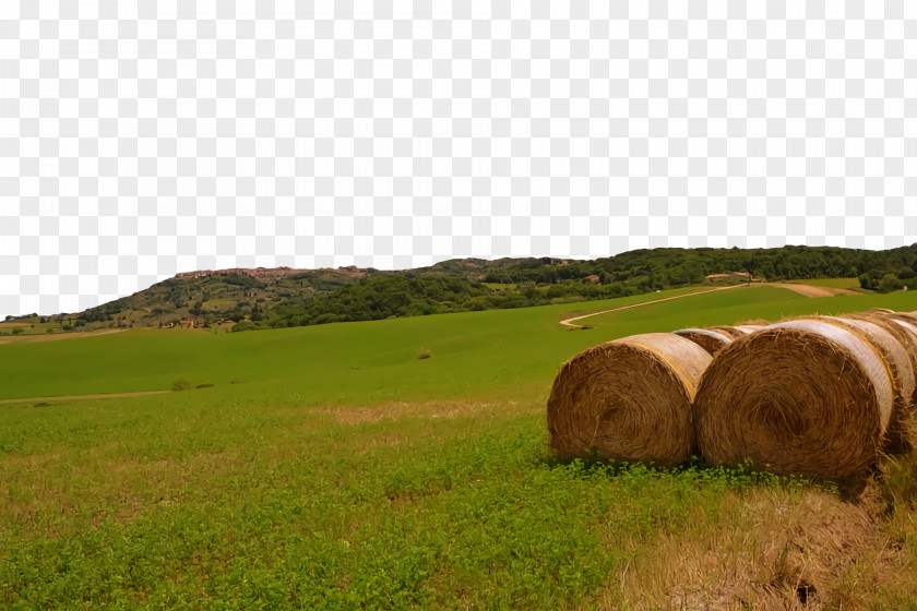 Rural Area Grassland Ecoregion Farm Straw PNG