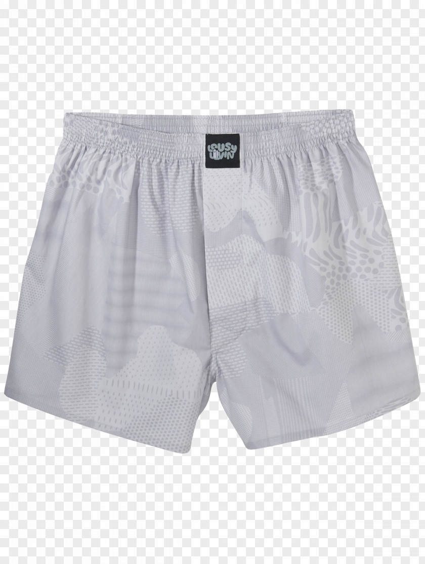 2pack Bermuda Shorts Trunks Underpants Briefs PNG