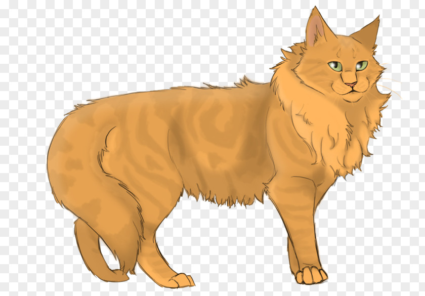 Cat Warriors: The Prophecies Begin Lionheart Graystripe PNG