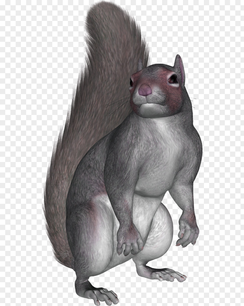 Download For Free Squirrel In High Resolution PhotoScape PNG