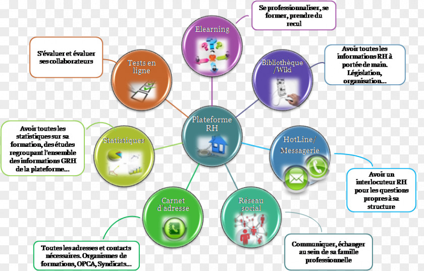 Human Resource Management Purpose Organization Innovation PNG