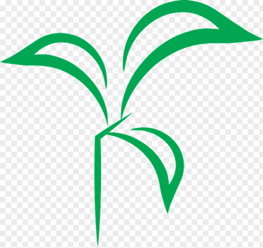 Leaf Line Angle Plant Stem Clip Art PNG