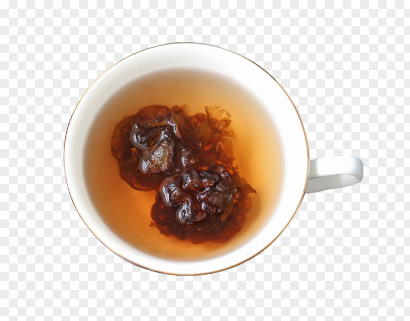 Panda Hai Tea Chutney Sterculia Lychnophora Google Images PNG