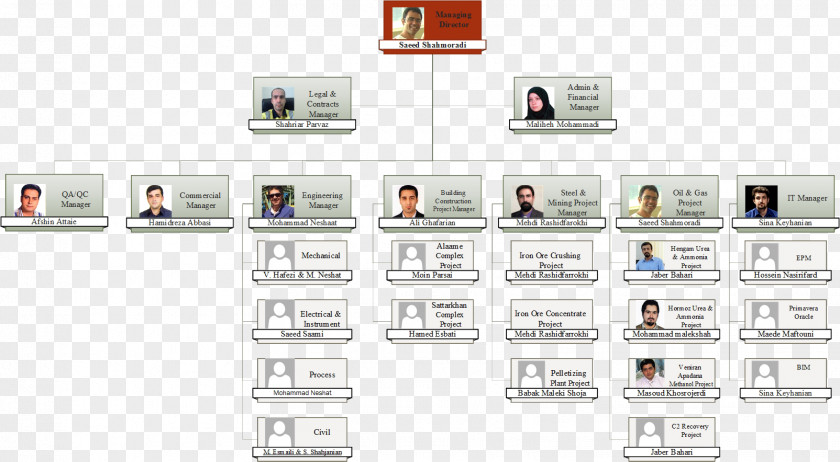 QA/QC Organizational Chart Project Quality Assurance PNG