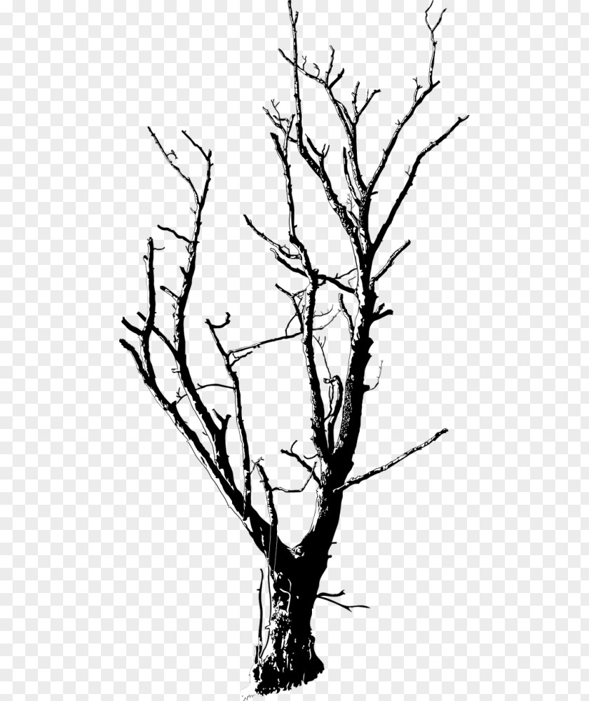 Tree Clip Art Vector Graphics Drawing Branch PNG