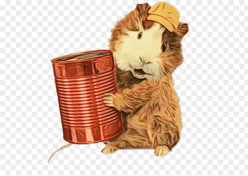 Whiskers Rodent PNG