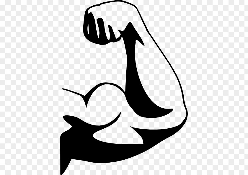 White Arm Cliparts Muscle Cartoon Clip Art PNG
