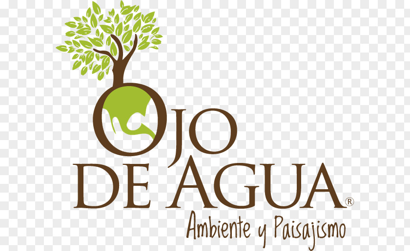 Agua De Jamaica Piadina Piadineria Magna Romagna Forlì Pasta PNG