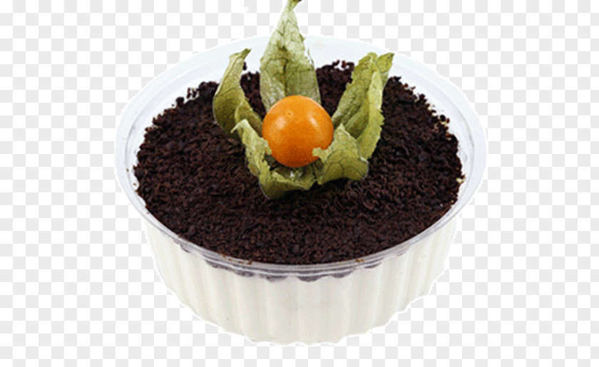 Cake Tiramisu Profiterole Chocolate Dessert PNG